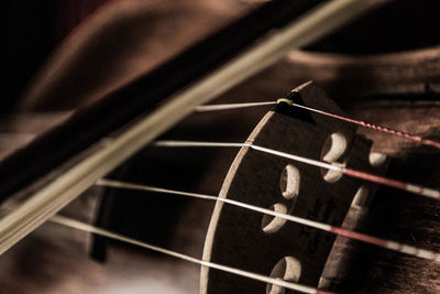 Close-up of violin