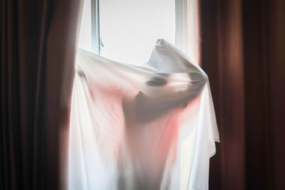 Person covered in white textile standing by window at home