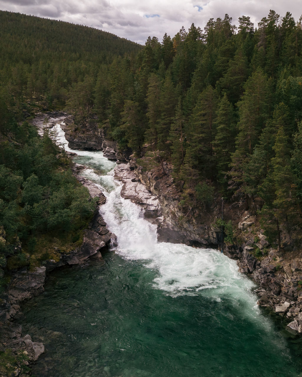 SCENIC VIEW OF STREAM FLOWING IN FOREST