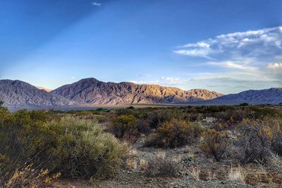 Scenic view of landscape against sky