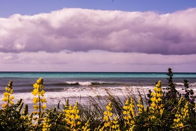 Scenic view of sea against sky