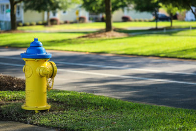 Yellow fire hydrant on footpath in park
