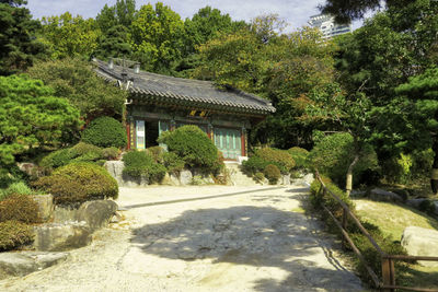 Trees and plants in park by building