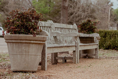 Empty bench in daylight