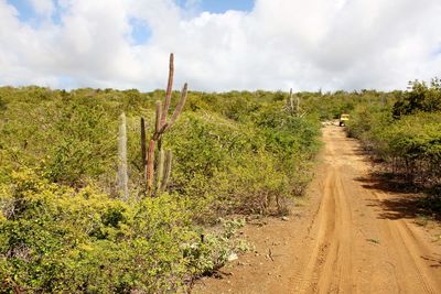 Dirt road amidst field against sky