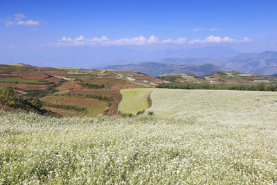 Countryside landscape against blue sky