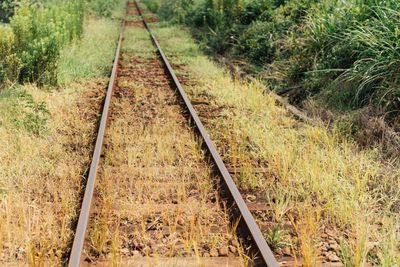 Railroad track amidst grass