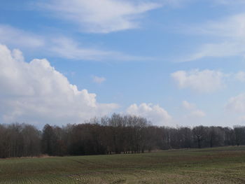 Scenic view of field against sky