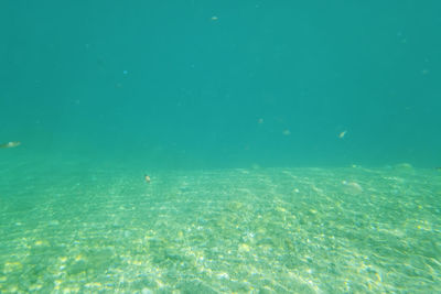 Seascape and underwater life view