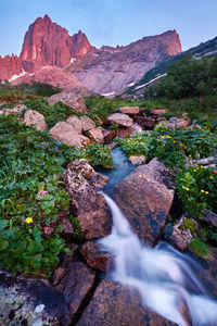 Scenic view of water flowing through rocks