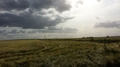 Scenic view of field against sky