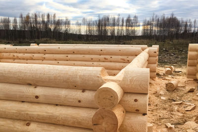 Stack of wooden logs on field against sky