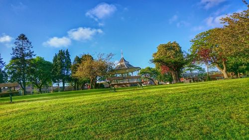 Trees on grassy field against cloudy sky