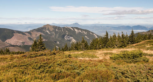 Scenic view of landscape and mountains against sky