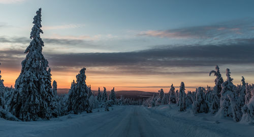 Snow covered trees against sky during sunset