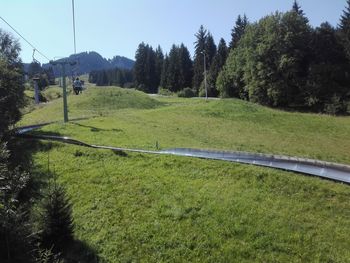 Scenic view of grassy field against sky