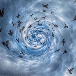 Low angle view of birds flying against cloudy sky