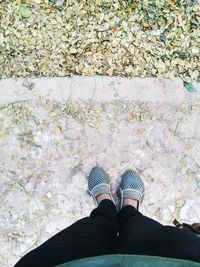 Low section of woman standing on leaves