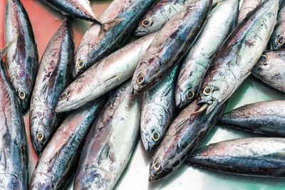 Full frame shot of fish for sale in market