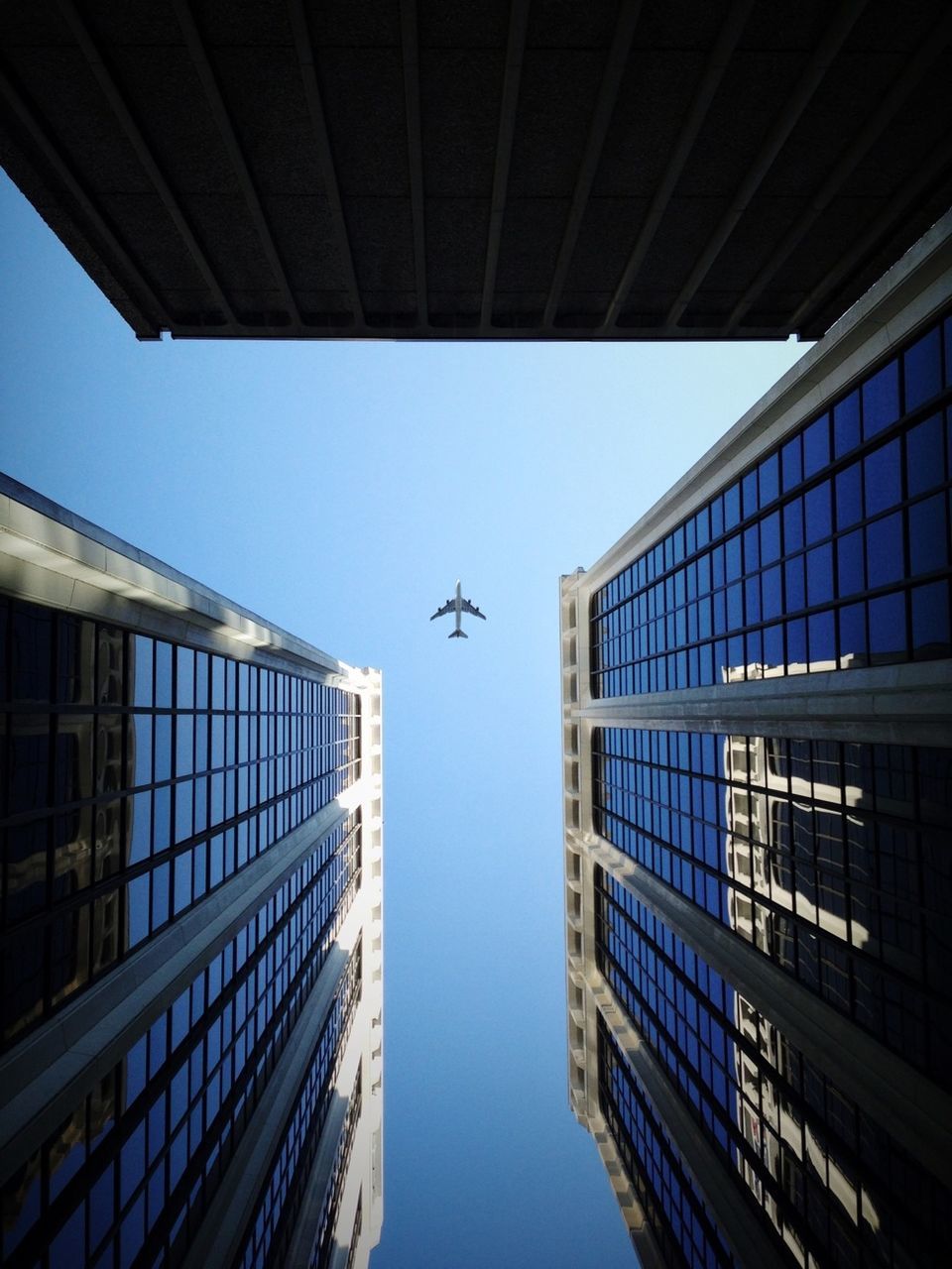 architecture, building exterior, built structure, low angle view, flying, modern, city, bird, glass - material, clear sky, building, animals in the wild, office building, wildlife, animal themes, window, sky, skyscraper, mid-air, directly below