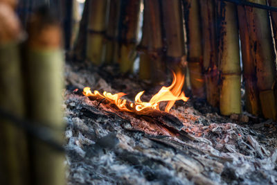 Close-up of fire on wood