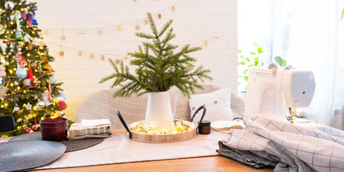 Potted plant on table at home