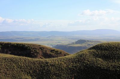 Scenic view of agricultural field against sky