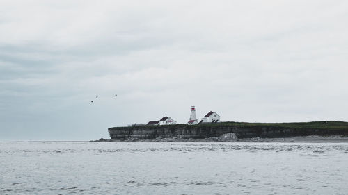Birds flying over sea against sky