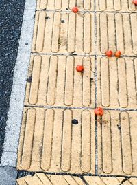 Close-up of paving stone