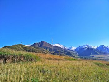 Scenic view of field against clear blue sky