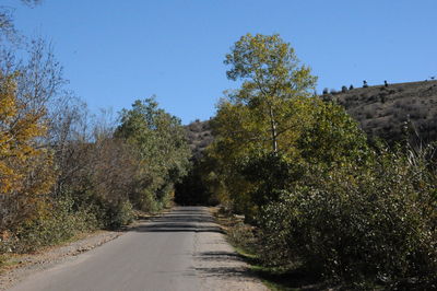Road amidst trees against sky
