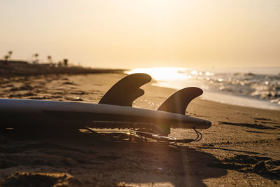 Surfboard fins on the shore of the beach in the light of sunrise