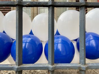 Close-up of white balloons against wall