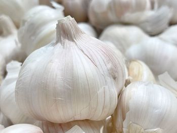 Close-up of white garlic