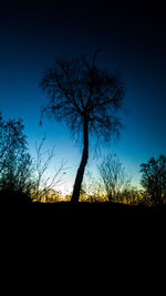 Silhouette bare tree on field against clear sky