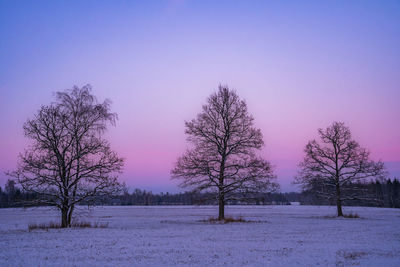 Bare tree on snow covered field against clear sky during winter
