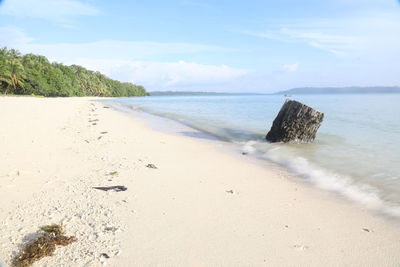 Scenic view of beach against sky