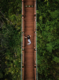 Directly above of woman lying on footbridge over trees in forest