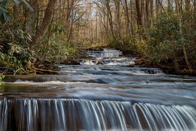 Surface level of stream flowing in forest