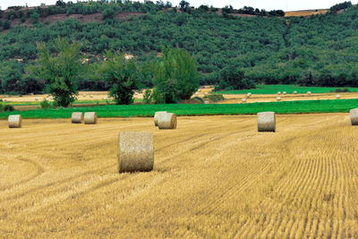 Hay bales on field against trees