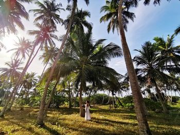 Palm trees on field against sky