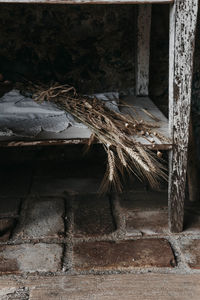 Close-up of logs against trees