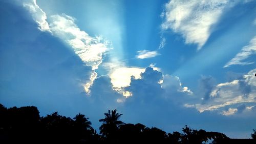 Low angle view of trees against cloudy sky