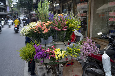 Flowering plants at street market