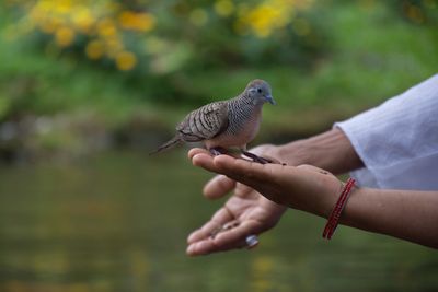 Close-up of hand holding cigarette