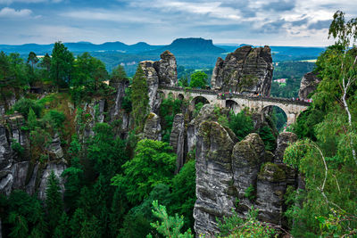 Panoramic view of trees and plants against cloudy sky