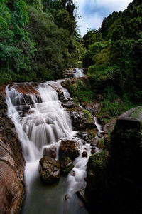 Stream flowing through rocks in forest