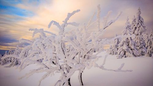 Frozen landscape against sky