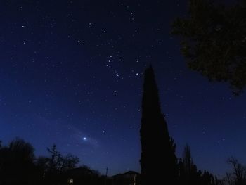 Low angle view of trees against sky at night
