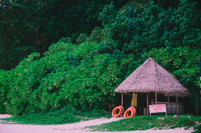 Red toy outside house on trees in forest